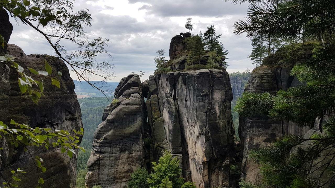 Ferienhaus Winterbergblick, Saechsische Schweiz Hinterhermsdorf Eksteriør billede